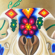 Tukipa