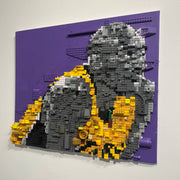 King James - Lebron Legos