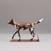Lycaon wolf Sculpture by Virginie Gribouilli