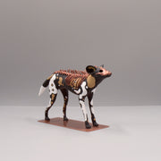 Lycaon wolf Sculpture by Virginie Gribouilli